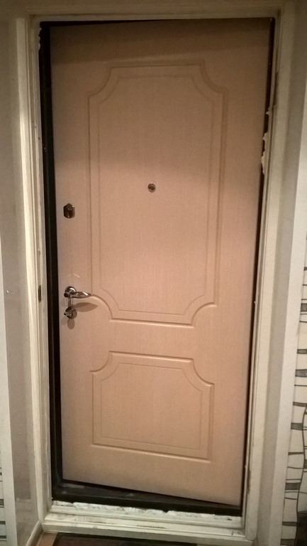 Двери из металла в Дедовске