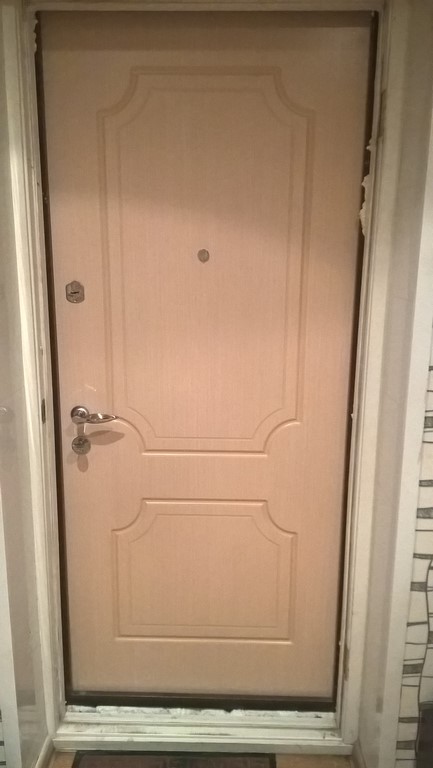 Железные двери с деревом для квартиры