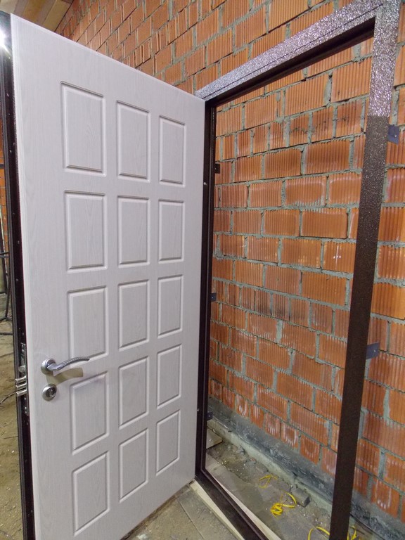 Двери на заказ порошковые Андреевка