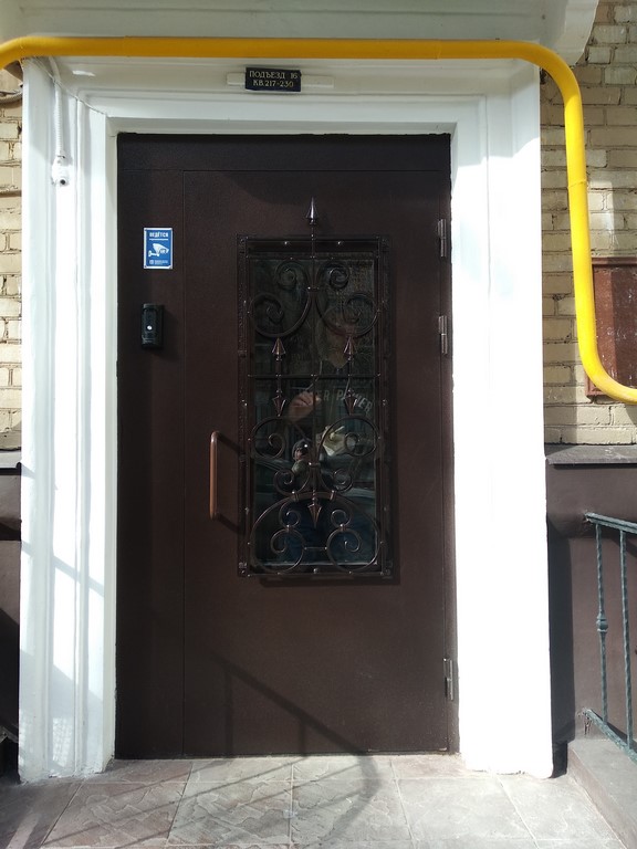 Заказать стальную дверь с стеклом и ковкой Двери с стеклом в Люберцах