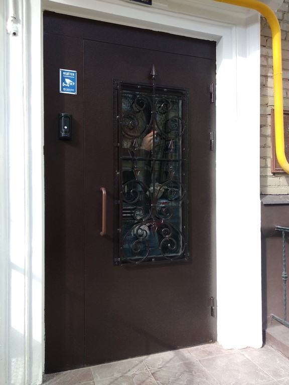 Фото дверей с ковкой Видное